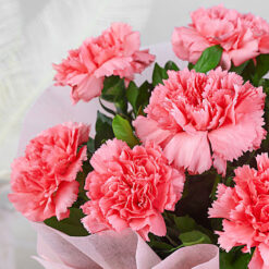 Alternative view of Vibrant Beautiful Pink Carnations Bouquet Bouquet