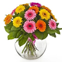 Romantic Flowers Of Paradise Gerberas Vase Bouquet