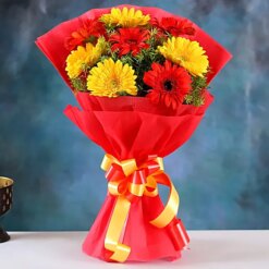 Elegant Glorious Red N Yellow Gerbera Blossoms Bloom Set