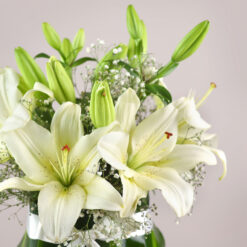 Lilies