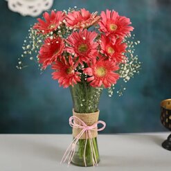 Whimsical Marvelous Pink Gerbera Showcase Bunch