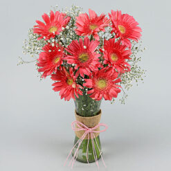Alternative view of Whimsical Marvelous Pink Gerbera Showcase Bunch