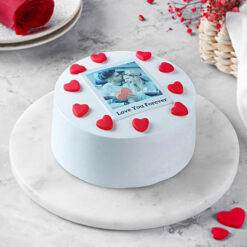 Truffle Cake